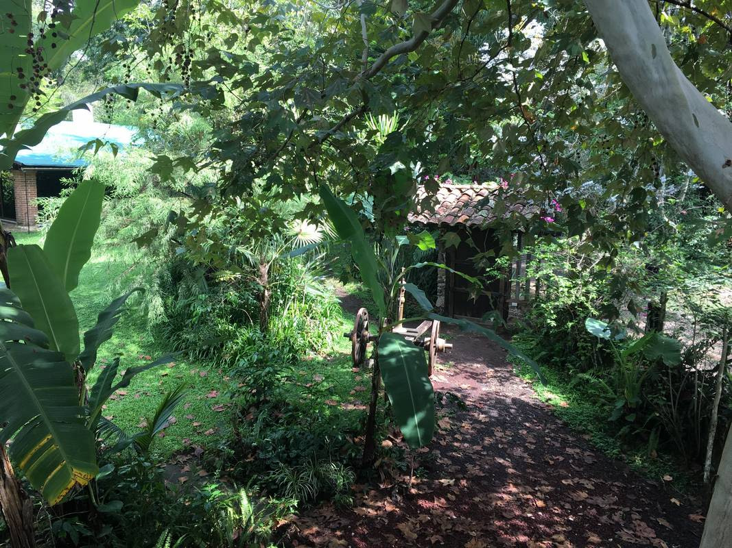 Fincas de Café Visita Xalapa