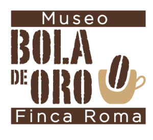 Logo Museo Bola De Oro