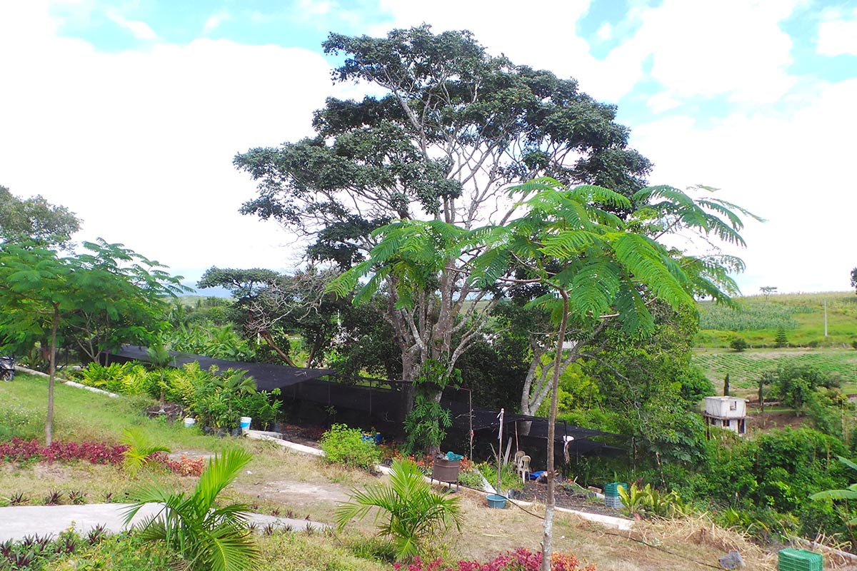 Foto Parque Ecológico La Majahua